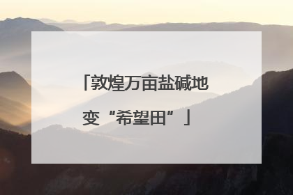 敦煌万亩盐碱地变“希望田”