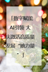 数字赋能 AI引领 大庆激活高质量发展“她力量”