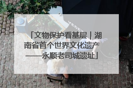 文物保护看基层｜湖南省首个世界文化遗产——永顺老司城遗址