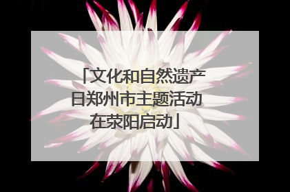 文化和自然遗产日郑州市主题活动在荥阳启动