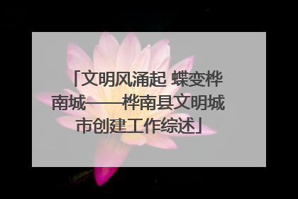 文明风涌起 蝶变桦南城——桦南县文明城市创建工作综述