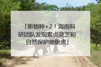 新物种+2！海南科研团队发现素贞灵芝和自然保护地壁虎