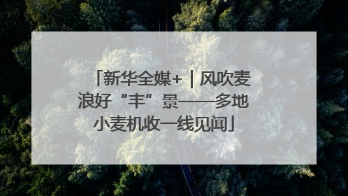 新华全媒+｜风吹麦浪好“丰”景——多地小麦机收一线见闻