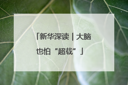 新华深读｜大脑也怕“超载”