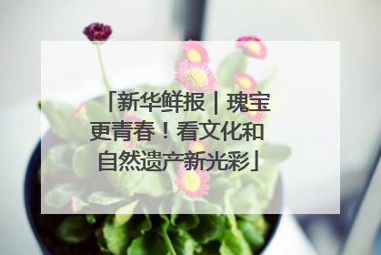 新华鲜报｜瑰宝更青春！看文化和自然遗产新光彩