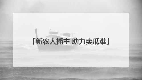 新农人播主 助力卖瓜难