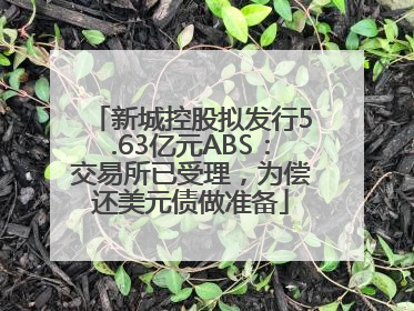 新城控股拟发行5.63亿元ABS：交易所已受理，为偿还美元债做准备