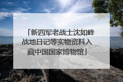 新四军老战士沈如峰战地日记等实物资料入藏中国国家博物馆