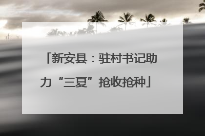 新安县：驻村书记助力“三夏”抢收抢种