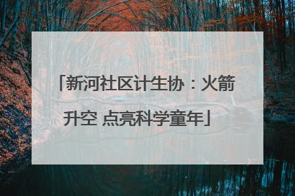 新河社区计生协：火箭升空 点亮科学童年