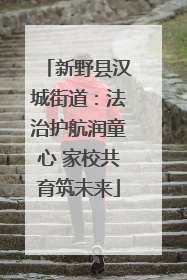 新野县汉城街道：法治护航润童心 家校共育筑未来