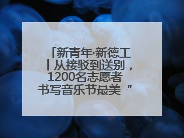 新青年·新德工丨从接驳到送别，1200名志愿者书写音乐节最美“新青年答卷”