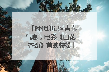 时代印记×青春气息，电影《山花苍劲》首映获赞