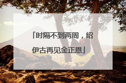 时隔不到两周，绍伊古再见金正恩