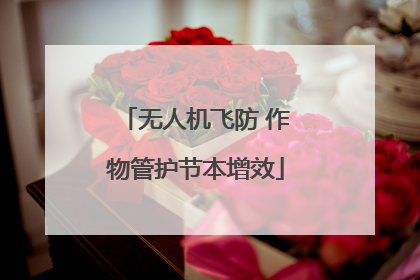 无人机飞防 作物管护节本增效