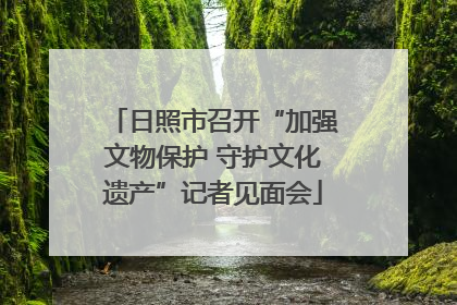 日照市召开“加强文物保护 守护文化遗产”记者见面会