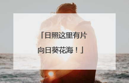 日照这里有片向日葵花海！