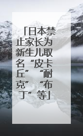 日本禁止家长为新生儿取名“皮卡丘”“耐克”“布丁”等