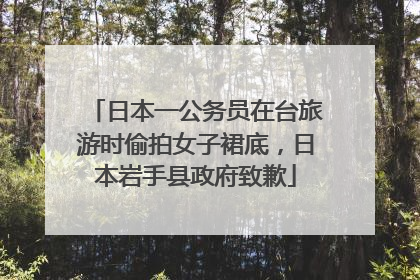 日本一公务员在台旅游时偷拍女子裙底，日本岩手县政府致歉