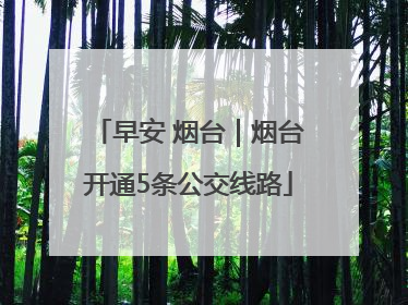 早安 烟台｜烟台开通5条公交线路