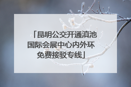 昆明公交开通滇池国际会展中心内外环免费接驳专线