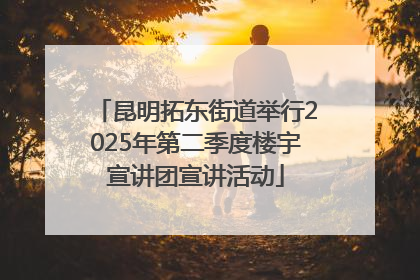 昆明拓东街道举行2025年第二季度楼宇宣讲团宣讲活动