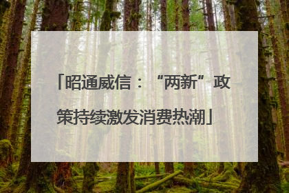 昭通威信：“两新”政策持续激发消费热潮