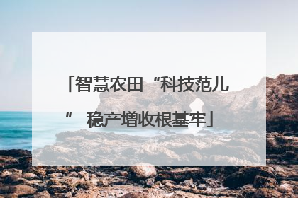 智慧农田“科技范儿” 稳产增收根基牢