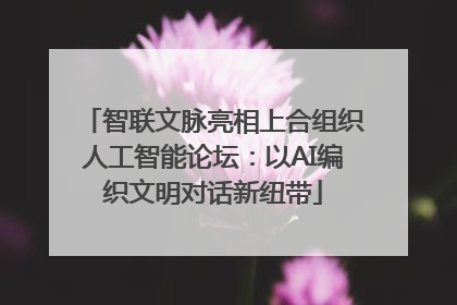 智联文脉亮相上合组织人工智能论坛：以AI编织文明对话新纽带