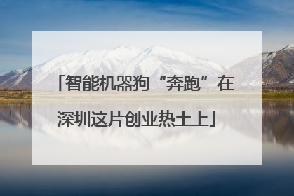 智能机器狗“奔跑”在深圳这片创业热土上