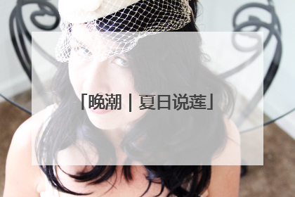 晚潮｜夏日说莲
