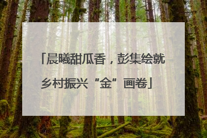 晨曦甜瓜香，彭集绘就乡村振兴“金”画卷