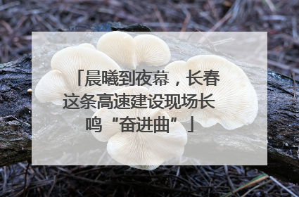 晨曦到夜幕，长春这条高速建设现场长鸣“奋进曲”
