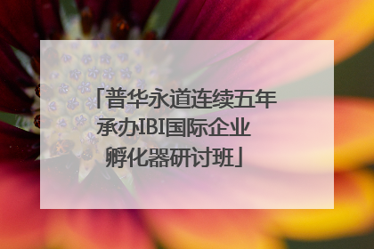 普华永道连续五年承办IBI国际企业孵化器研讨班