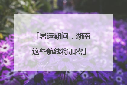 暑运期间，湖南这些航线将加密