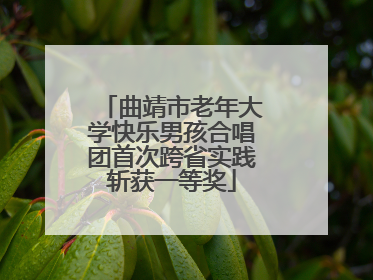 曲靖市老年大学快乐男孩合唱团首次跨省实践斩获一等奖