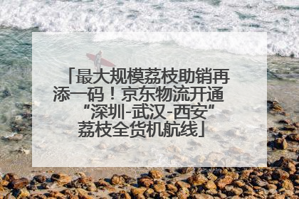 最大规模荔枝助销再添一码！京东物流开通“深圳-武汉-西安” 荔枝全货机航线