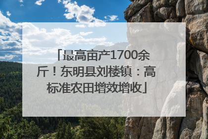 最高亩产1700余斤！东明县刘楼镇：高标准农田增效增收