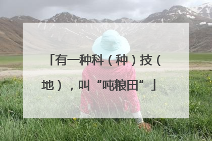 有一种科（种）技（地），叫“吨粮田”