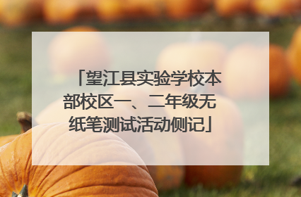 望江县实验学校本部校区一、二年级无纸笔测试活动侧记