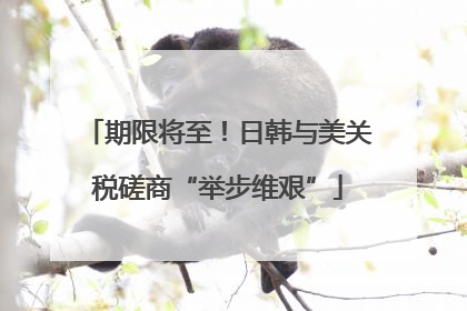 期限将至！日韩与美关税磋商“举步维艰”