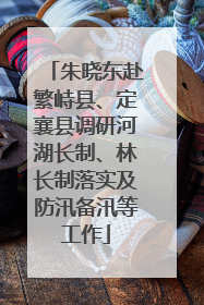 朱晓东赴繁峙县、定襄县调研河湖长制、林长制落实及防汛备汛等工作