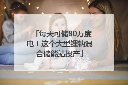 每天可储80万度电！这个大型锂钠混合储能站投产