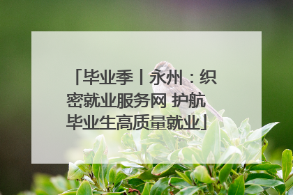 毕业季丨永州：织密就业服务网 护航毕业生高质量就业