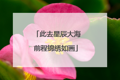 此去星辰大海 前程锦绣如画