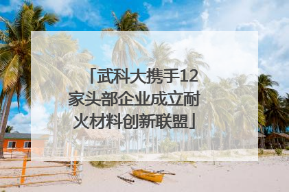 武科大携手12家头部企业成立耐火材料创新联盟