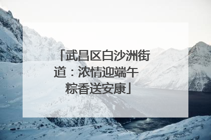 武昌区白沙洲街道：浓情迎端午 粽香送安康
