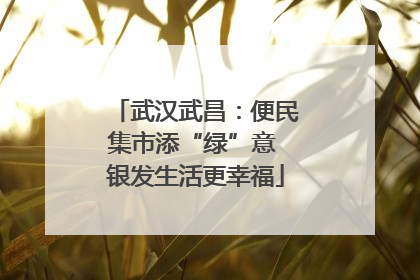 武汉武昌：便民集市添“绿”意 银发生活更幸福