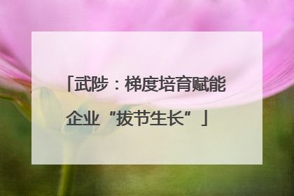 武陟：梯度培育赋能企业“拔节生长”