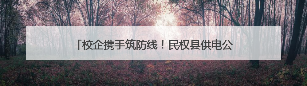 校企携手筑防线！民权县供电公司开展校园安全用电宣教活动